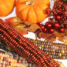 Load image into Gallery viewer, Country Harvest Wax Melts