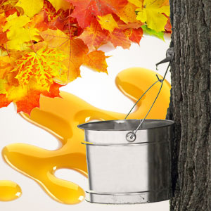 Maple Sugar Candle